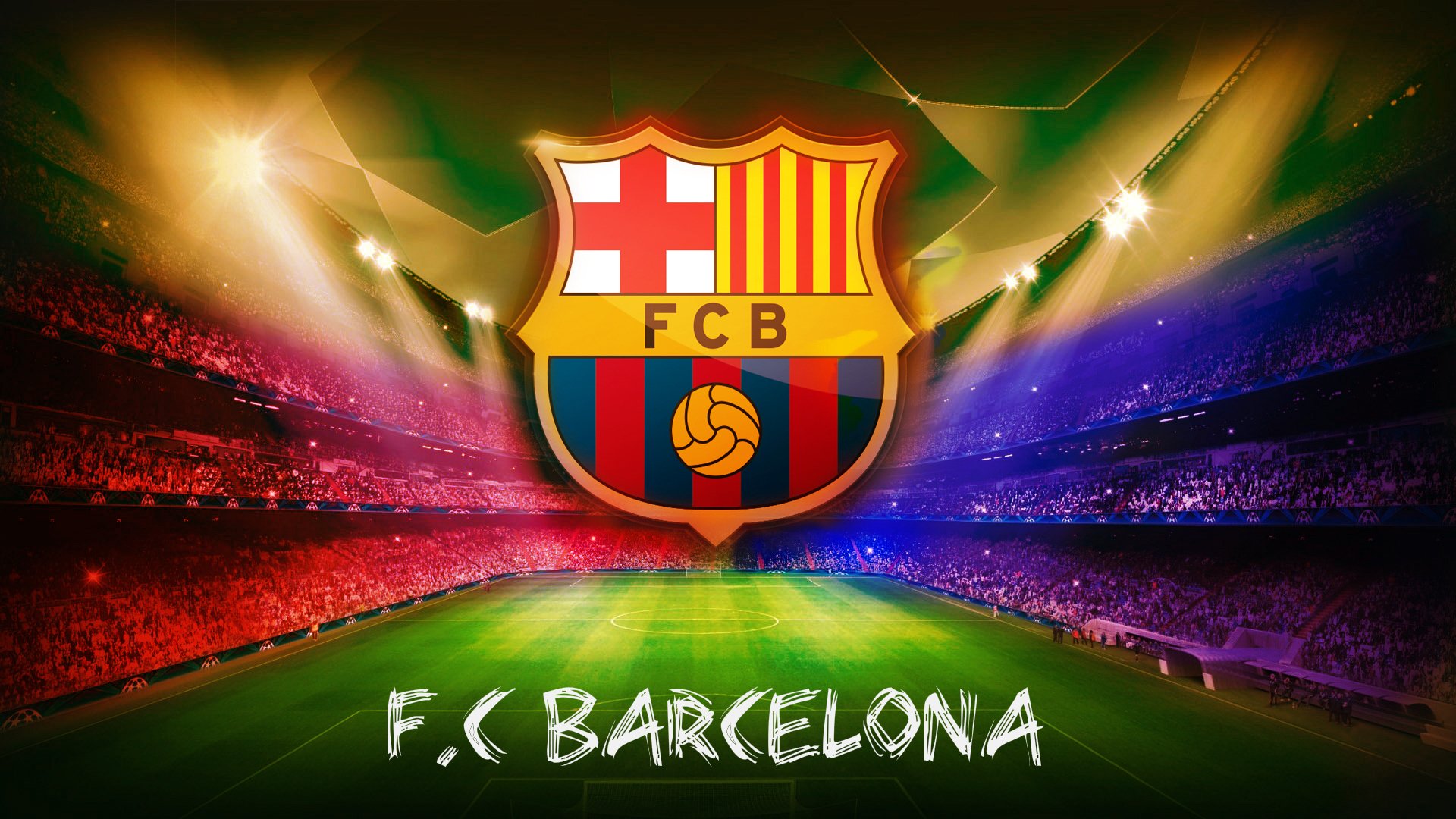 荷兰自由泳新秀勇闯总决赛，荷兰自由泳名将